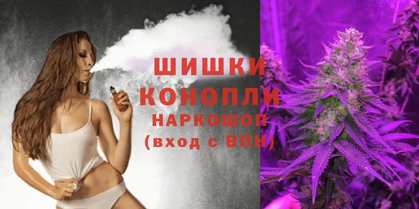 прущие крисы Магас