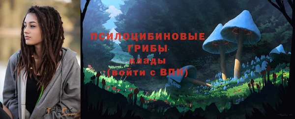 прущие крисы Магас
