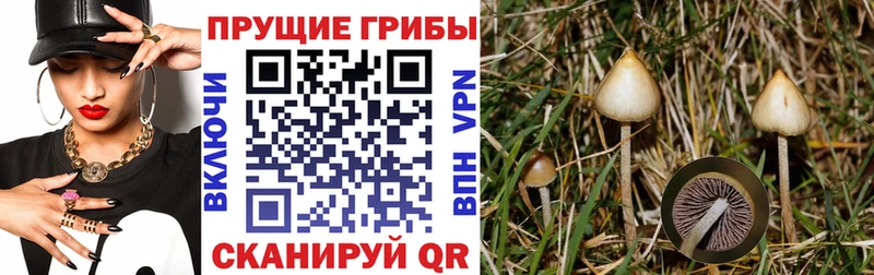 Псилоцибиновые грибы мухоморы  Цимлянск 