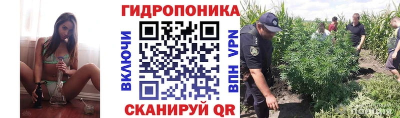 Бошки Шишки SATIVA & INDICA  где можно купить наркотик  MEGA рабочий сайт  Цимлянск 